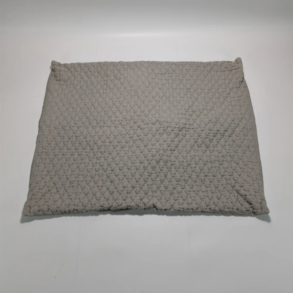 West Elm Organic Cotton Pillow Shams - Set Of 2 - 20x26